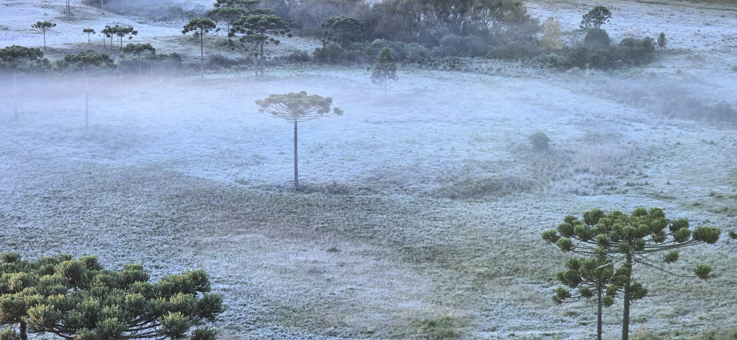 SUL DO BRASIL ABAIXO DE ZERO
