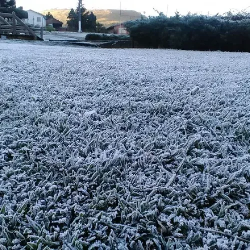 Rio Grande do Sul Congela: Mínimas Chegam a -7°C no Início de Julho!