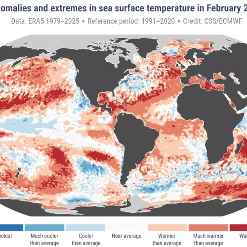 Aquecimento do Planeta: Fevereiro Quente e Perto do Recorde