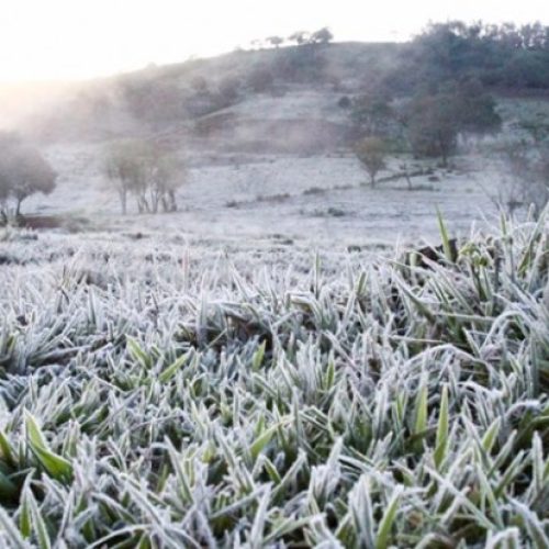 FRIO RECORD NO SUL DO BRASIL