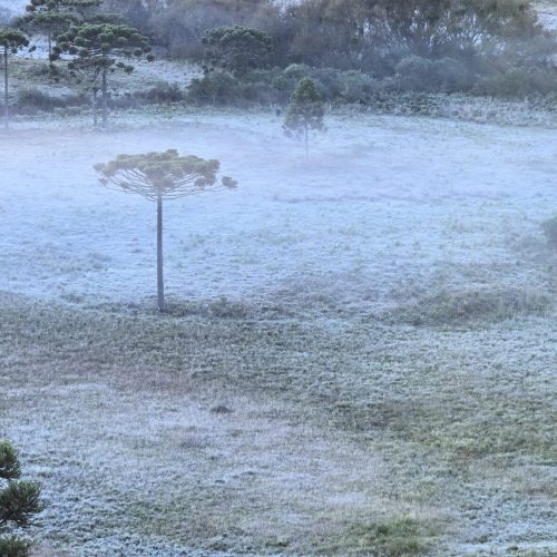 SUL DO BRASIL ABAIXO DE ZERO